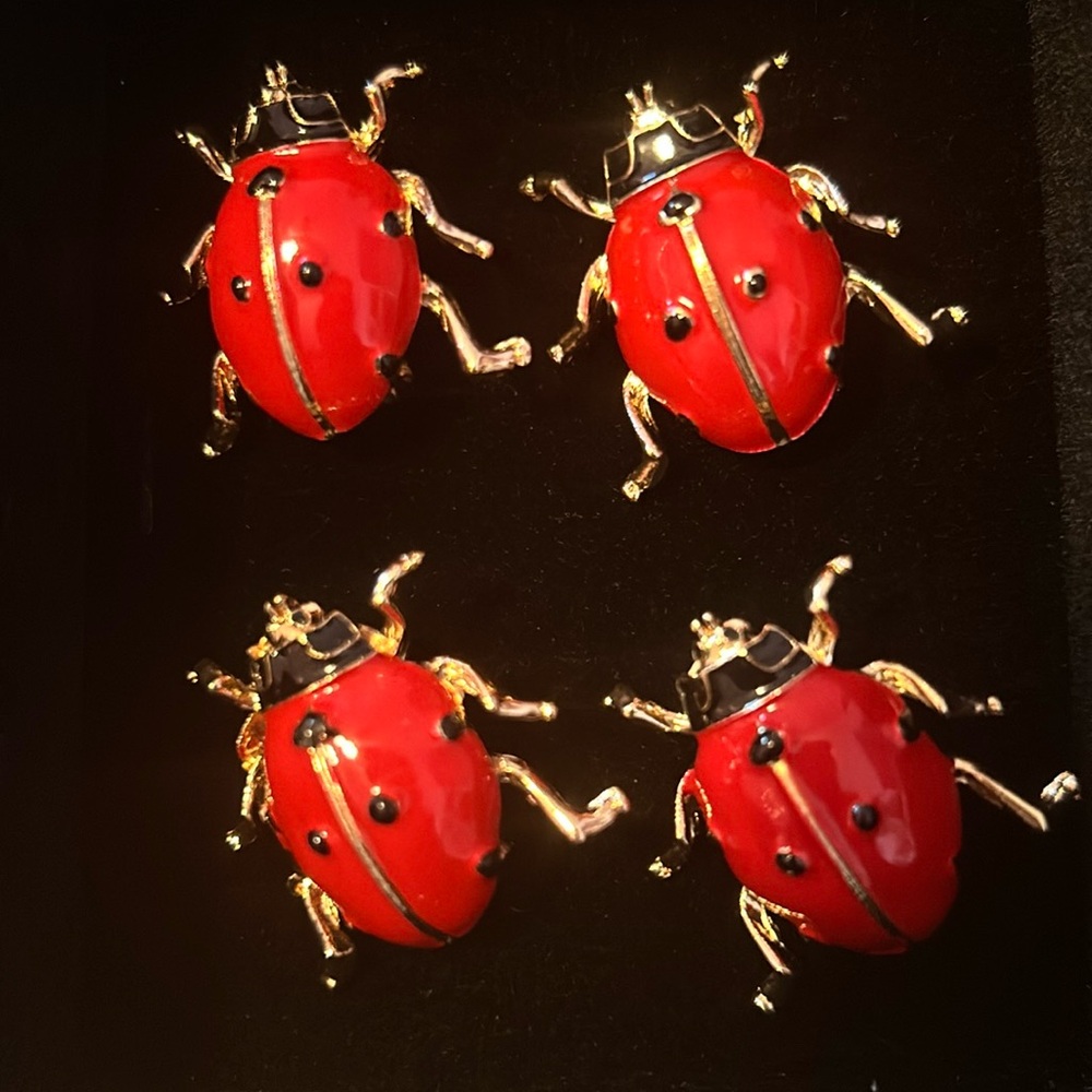 Lady Bug Brooch, NEW.